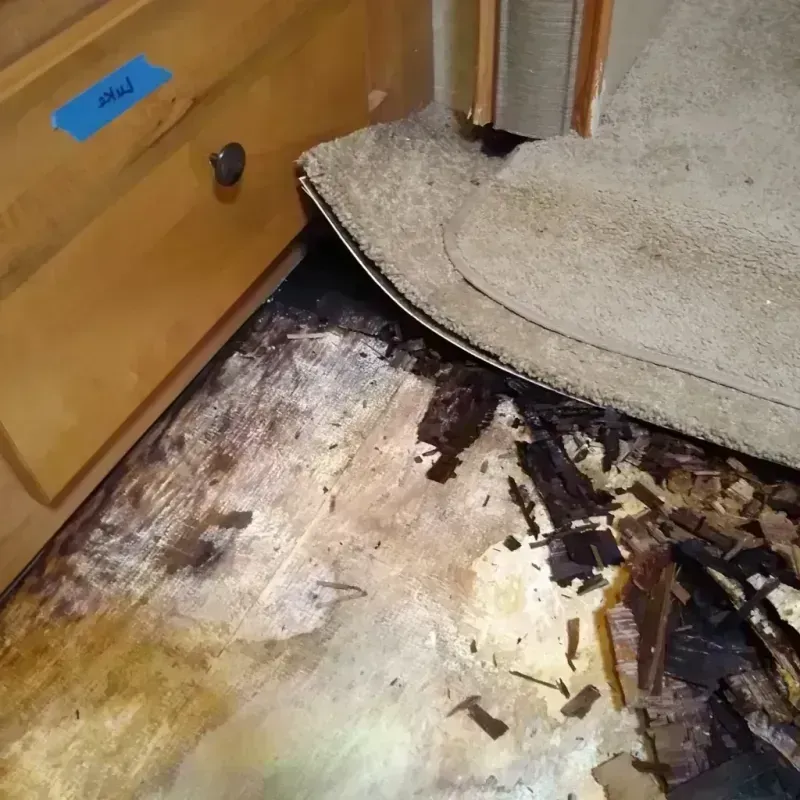 Wood Floor Water Damage in Washington County, AR